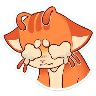 🐱