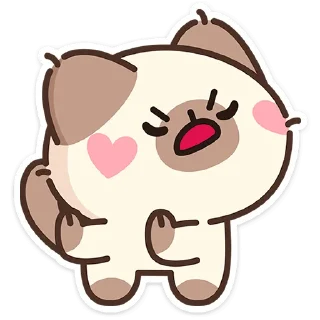 🐱