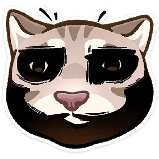 🐱