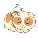 😴