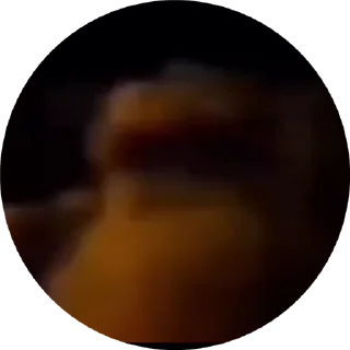 🐻