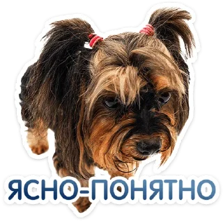 ⭐