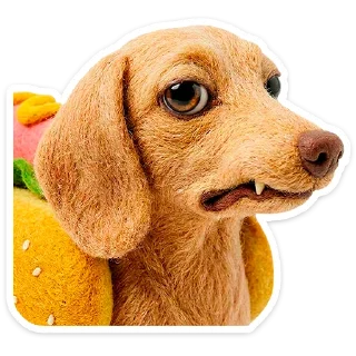 🐶