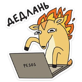 ⭐