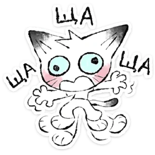 🐱