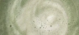 🌟