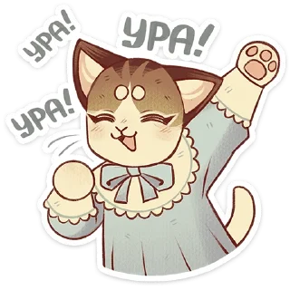 🐱