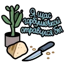 ⭐