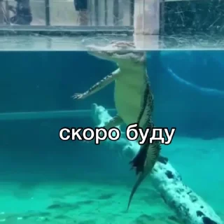 😏
