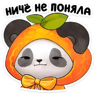 🐼