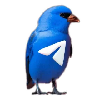 🐦