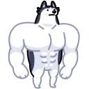 💪