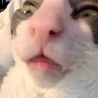 😛