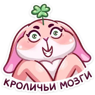 🐇