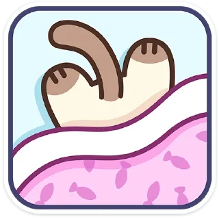 🐱