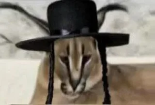 💰