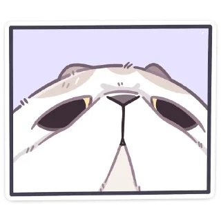 👀