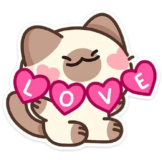 🐱