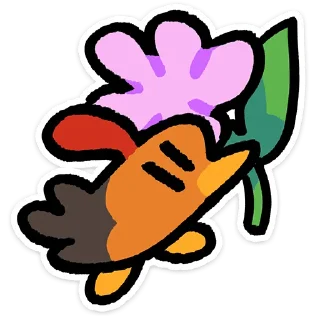 ✨