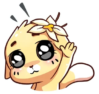 ✋