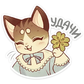 🐱