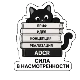 📚
