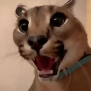 😮