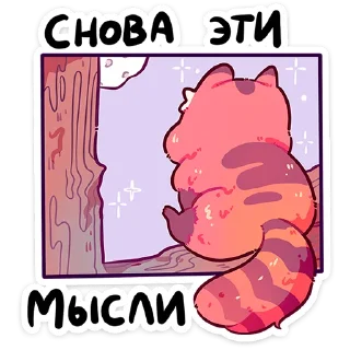 ⭐