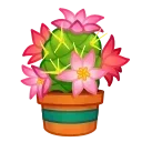💐