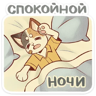 🐱