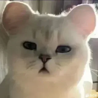 🥲