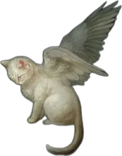 🌟