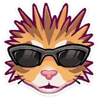 🐱