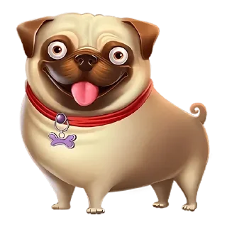 🐶