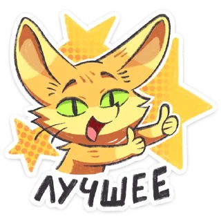 ⭐