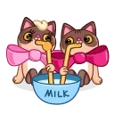 💑