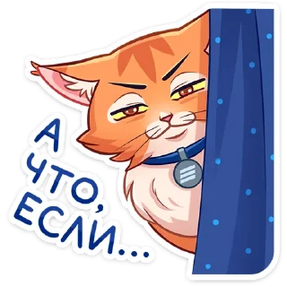 ⭐