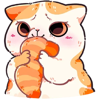 🐱