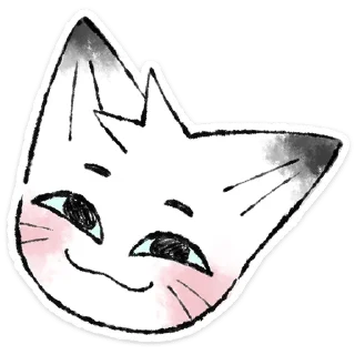 🐱
