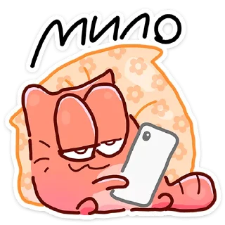 ⭐