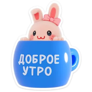 🐰
