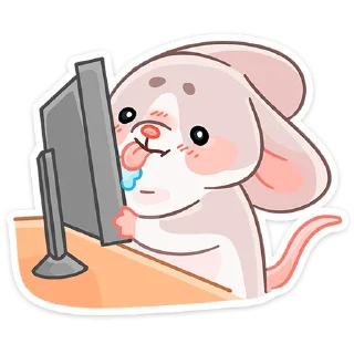 🖥
