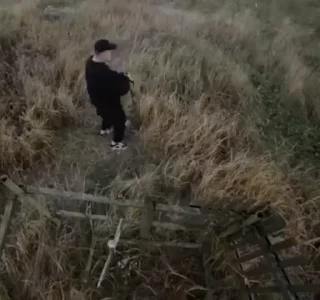 🌟
