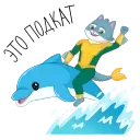 🐬