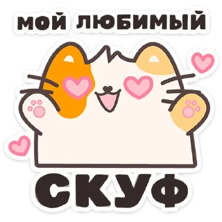 🐱