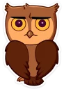 🦉