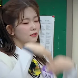 🐰