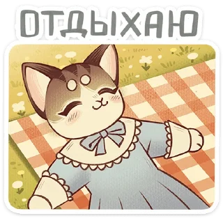 🐱