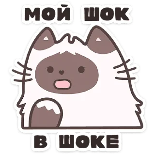 🐱