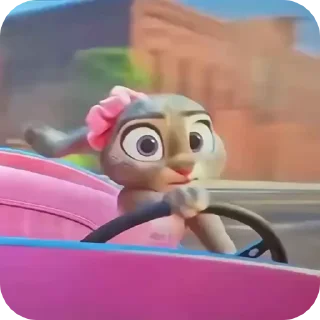 🌟